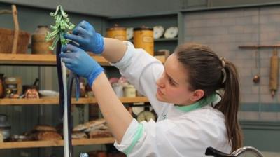 Bake Off: The Professionals