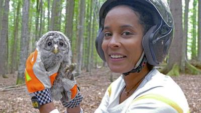 Pia und die wilden Tiere