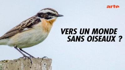 Le Dessous des cartes