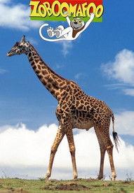 Zoboomafoo filmas online