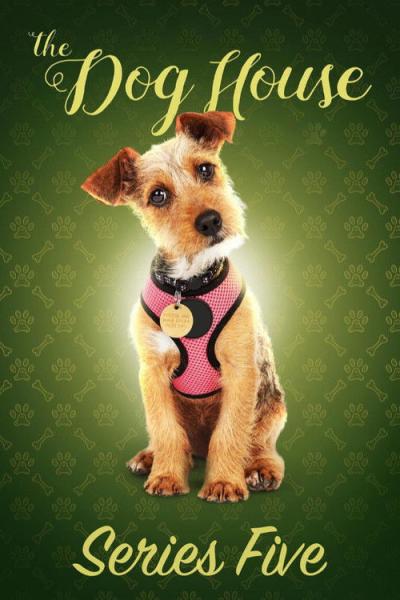 The Dog House filmas online