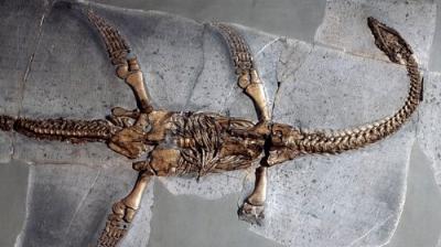 Didžiausios pasaulio paslaptys