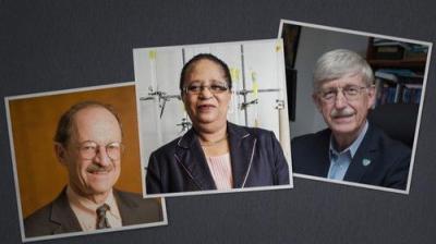 Finding Your Roots