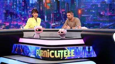Furnicuțele