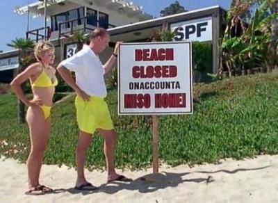 Son of the Beach