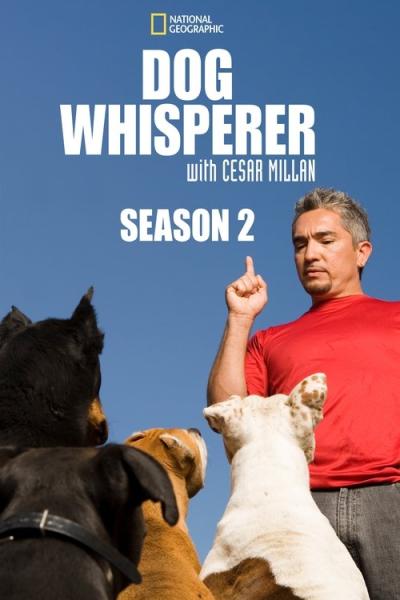 Dog Whisperer filmas online