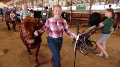 The Incredible Dr. Pol