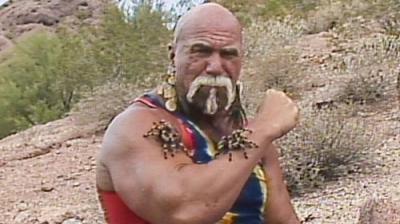 WWF Wrestling Challenge