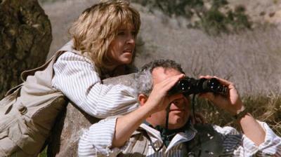 L.A. Law
