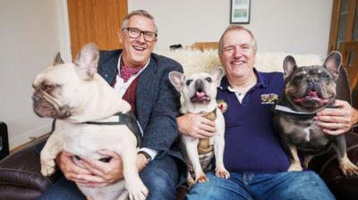 Dogs Behaving (Very) Badly