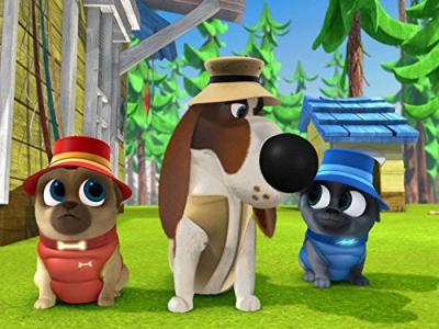 Puppy Dog Pals