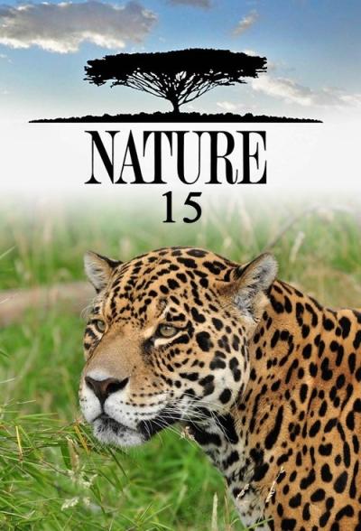 Nature filmas online