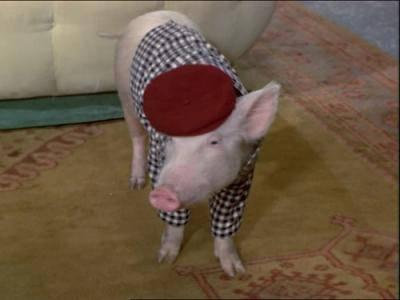Green Acres