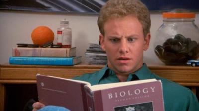 Beverli Hilsas, 90210