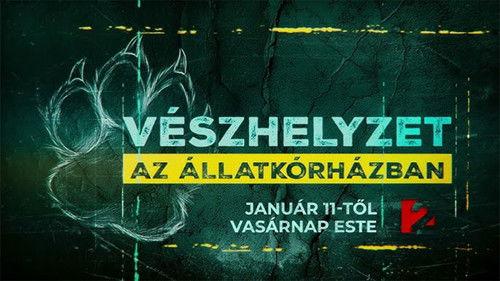 Vészhelyzet az állatkórházban filmas žiurėti online