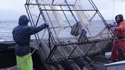 Deadliest Catch