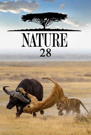Nature filmas online