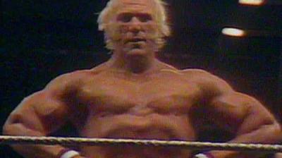 WWF All-Star Wrestling