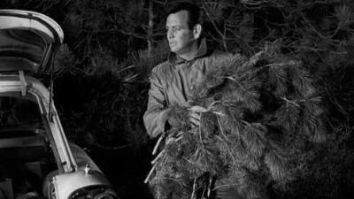 The Fugitive