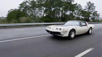 Roadkill