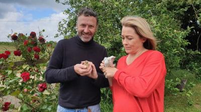 Sarah Beeny's New Life in the Country