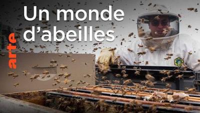 Le Dessous des cartes