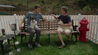 Tosh.0