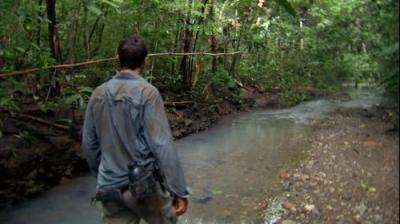 Man vs. Wild