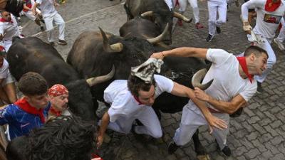 Vive San Fermín