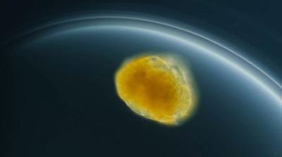 Journey to the Microcosmos