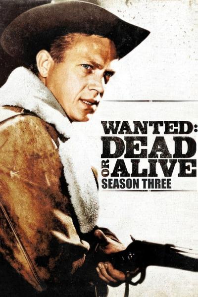 Wanted: Dead or Alive filmas online