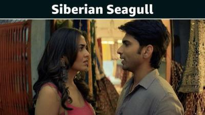Psycho Saiyaan