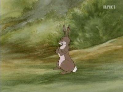 The Animals of Farthing Wood