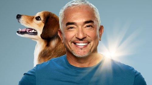 Cesar Millan: Better Human, Better Dog filmas žiurėti online