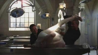 CSI: NY