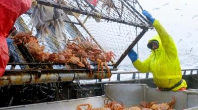 Deadliest Catch