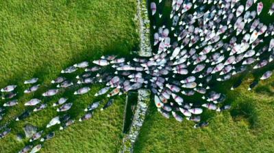 Europe from Above