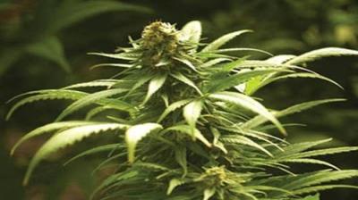 America's Book of Secrets