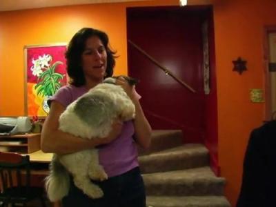 Postcards from Buster