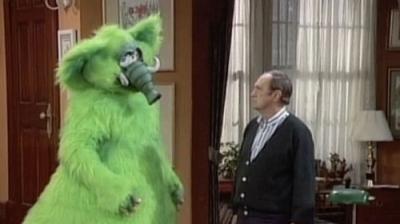 Bob
