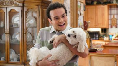 The Goldbergs