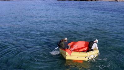 Celebrity Hunted : Chasse à l'homme