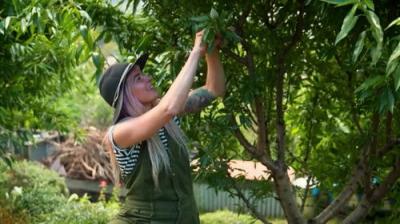 Gardening Australia