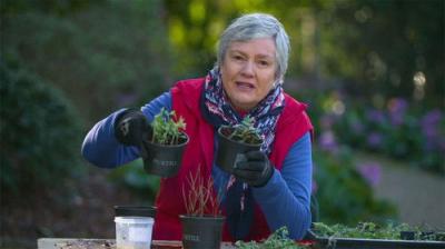 Gardening Australia