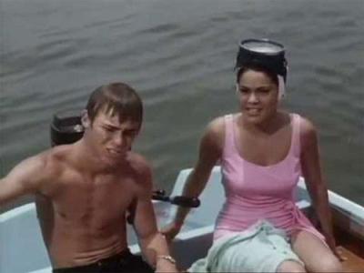 Flipper