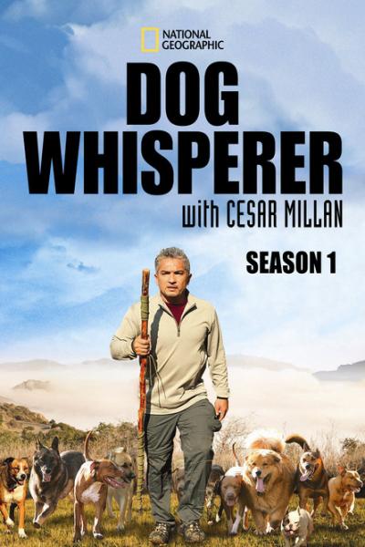 Dog Whisperer filmas online