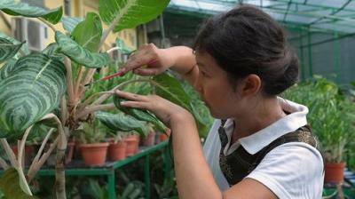 Gardening Australia