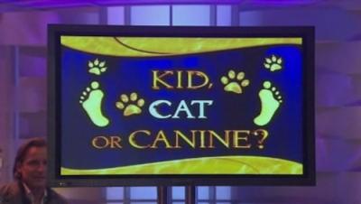 America's Funniest Home Videos
