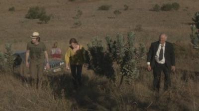 Silent Witness