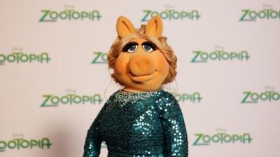 The Muppets